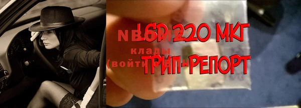 ПСИЛОЦИБИНОВЫЕ ГРИБЫ Баксан