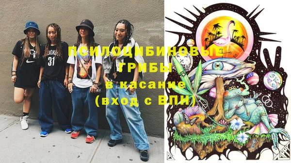 ПСИЛОЦИБИНОВЫЕ ГРИБЫ Баксан